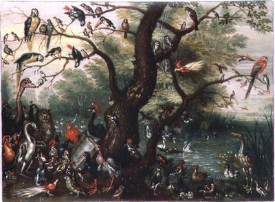 Kuş Konseri (bakır üzerine yağlı boya) by Jan van the Elder Kessel