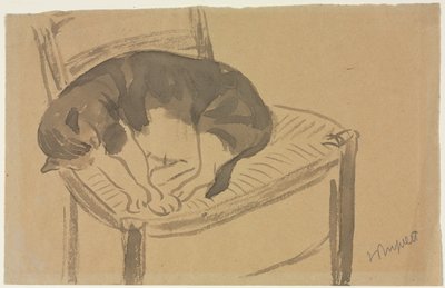 Uyuyan Kedi, 1900