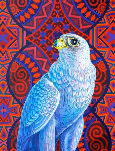 Gri şahin, 2017, by Jane Tattersfield