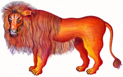 Aslan Aslan, 1996, (mürekkep ve guaj) by Jane Tattersfield