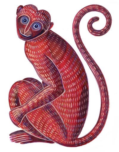 Maymun, 1996, (mürekkep ve guaj) by Jane Tattersfield