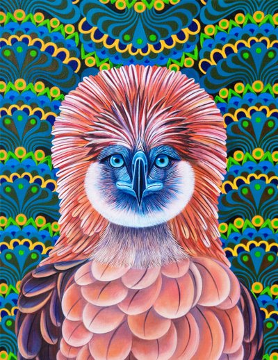 Filipin Kartalı, 2020 by Jane Tattersfield
