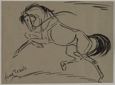 şahlanan at by Jane Travis