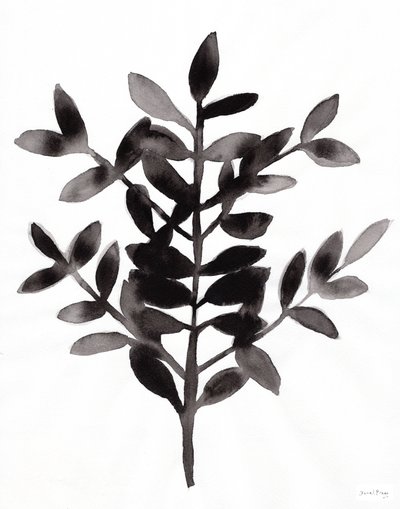 Nagi Fern ile Botanik III (kağıt üzerine mürekkep) by Janel Bragg
