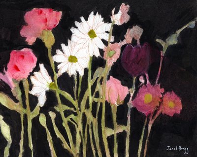  by Janel Bragg