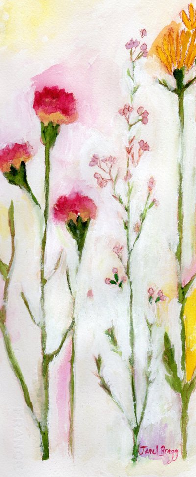  by Janel Bragg