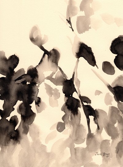  by Janel Bragg