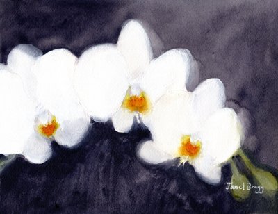  by Janel Bragg