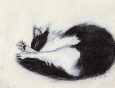  by Janel Bragg