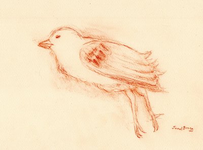 Yazın Canlılık ve Ölüm (Merdiven Boşluğumdaki Ölü Kuş III) c.2021 (kağıt üzerine pastel) by Janel Bragg