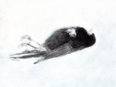 Kışın Kırılganlık ve Ölüm (Merdiven Boşluğumdaki Ölü Kuş II, c.2019) kağıt üzerine karakalem ve gesso) by Janel Bragg