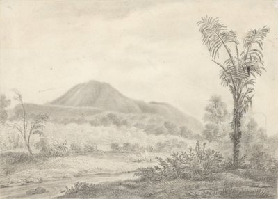 Dağ ve palmiye ile Cava manzara by Jannes Theodorus Bik