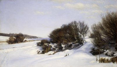 Denize Yakın Kış, 1888 by Janus La Cour