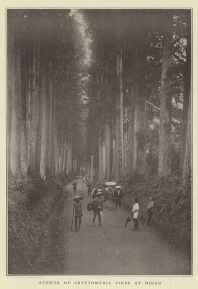 Nikko