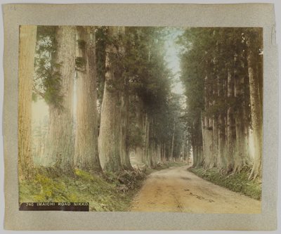 İyi değil Roa d, Nikko, Japonya (El-koure d s / w p sıcak) by Japanese Photographer
