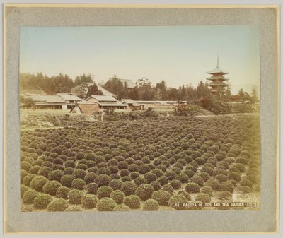 Toji Pagodası ve Çay Bahçesi, Kyoto, Japonya (el boyaması s/b fotoğraf) by Japanese Photographer