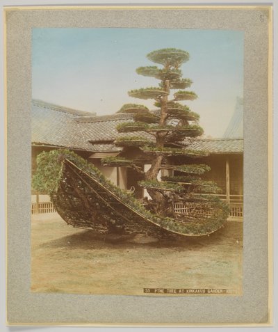 Kinkakuji Garden