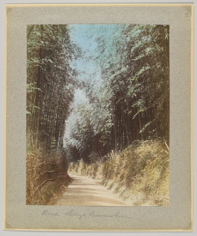 Bambu korusunun içinden geçen yol, Japonya (el boyaması s/b fotoğraf) by Japanese Photographer