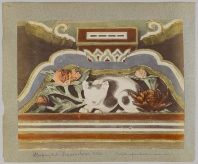 Uyuyan kedi, Tōshō-gū, Nikko, Japonya