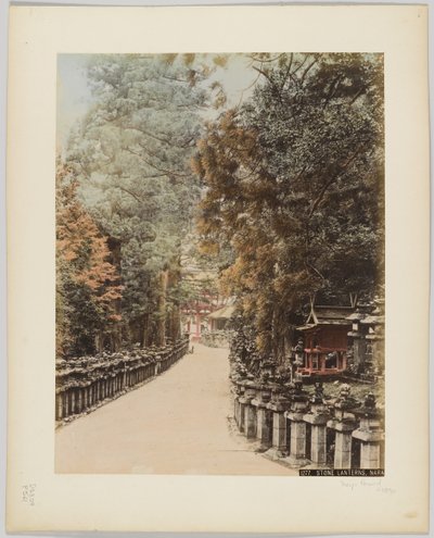 Stone Lanterns, Nara, Japonya, 1890 dolayları (el boyaması s/b fotoğraf) by Japanese Photographer