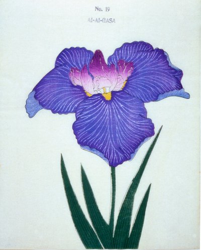 El-Gasa, no.19, 1898 by Japanese School