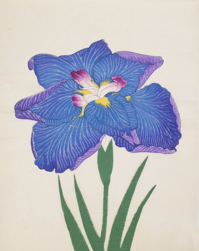 Azumbotan, No. 89, 1890 (renkli tahta baskı) by Japanese School