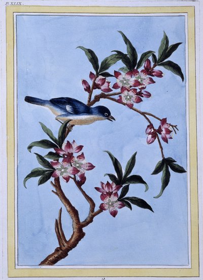 Kuş - Japonca baskı by Japanese School