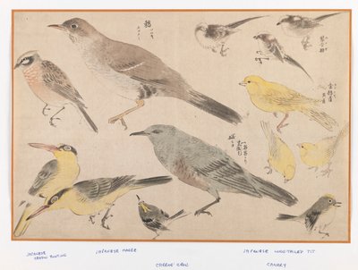 Tokyo Tarzında Kuşlar (tahta blok renkli baskı) by Japanese School