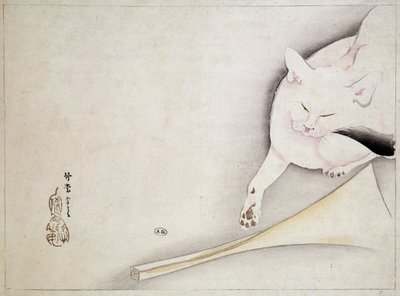 Kedi, Japon çizimi, n.d. 19. yüzyıl. by Japanese School