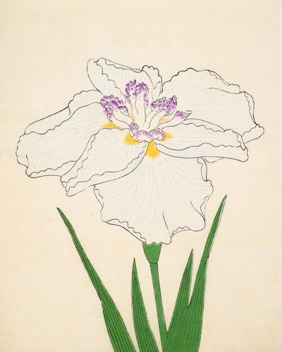Cho-Hiyen, No. 91, 1890 (renkli tahta baskı) by Japanese School