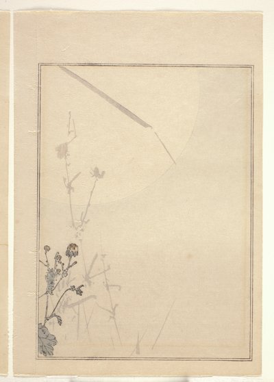 Krizantemler (renkli tahta baskı) (ayrıca bkz. 374402) by Japanese School