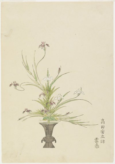 Takada Anritsub