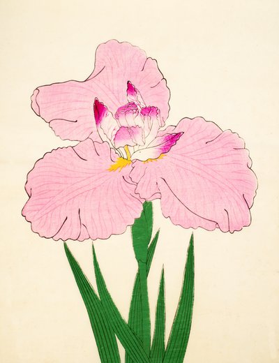 Zafer, of. 90, 1890 by Japanese School