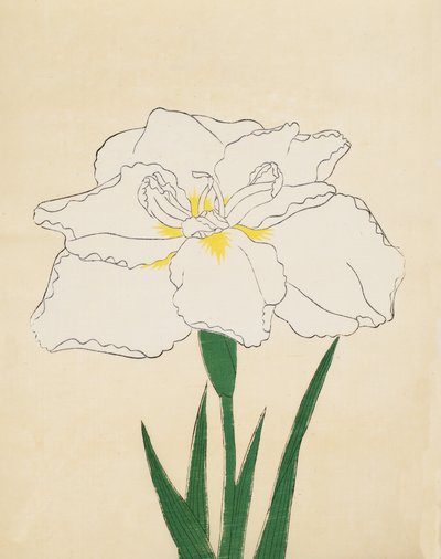 Haku-O-Den, No. 40, 1890 (colour woodblock print) by Japanese School