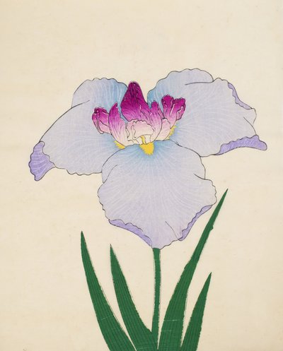 Hoshi-Zukiyo. 45, 1898 by Japanese School
