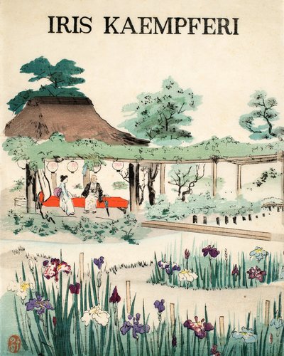 İris Kaempferi - Ön Kapak, 1890 by Japanese School