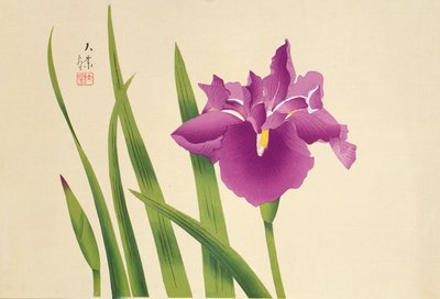 süsen, pub. 1950 dolayları by Japanese School