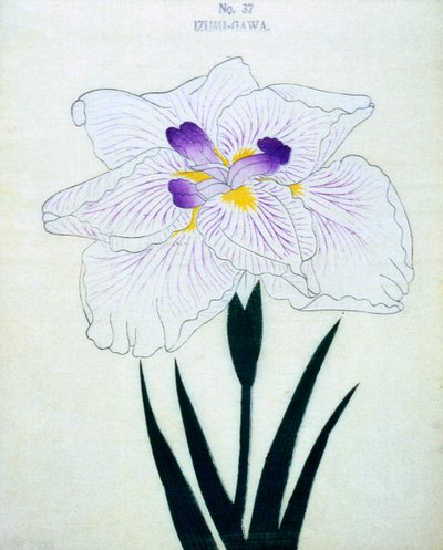 İzumi tarafında. 37, 1898 by Japanese School
