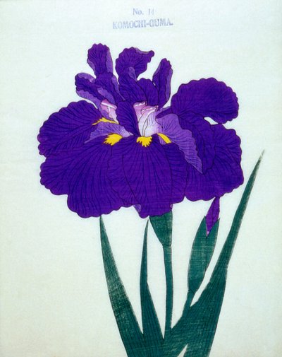 Çocuk taşıyan ayı. 14, 1898 by Japanese School