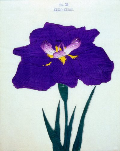 Pelerin de. 26, 1898 by Japanese School