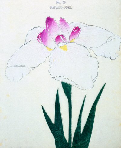 Başkent nedir? 50, 1898 by Japanese School