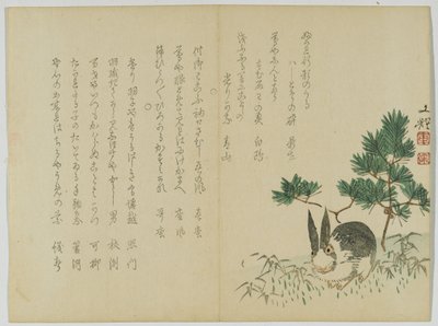 Yılbaşı Çamının Altındaki Tavşan, 1860 dolayları (tahta baskı) by Japanese School