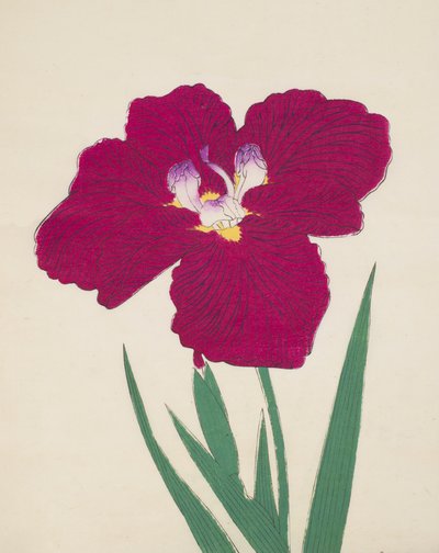 Tai-Hei-Raku, No. 18, 1890 (renkli tahta baskı) by Japanese School
