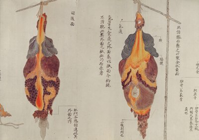 1796