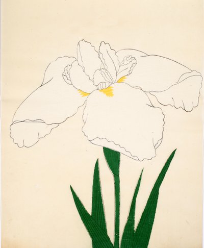 Bir asma-kazak. 33, 1890 (Bu DBock p Hayashi t) by Japanese School