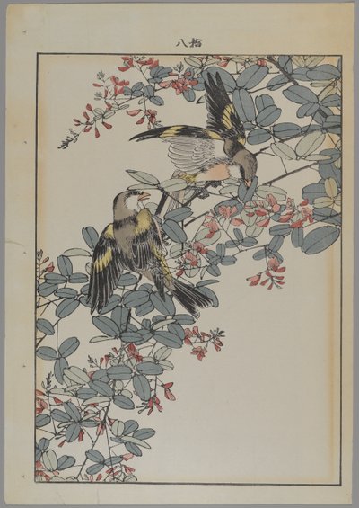 Pembe çiçekli iki kuş, Meiji dönemi, c.1868-1912 (renkli tahta baskı) by Japanese School