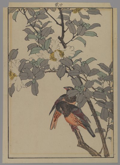 Beyaz çiçekli iki kuş, Meiji dönemi, 1892 (renkli tahta baskı) by Japanese School