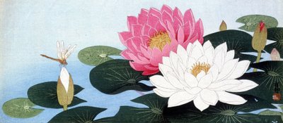 Nilüferler ve yusufçuk - Japon baskısı by Japanese School