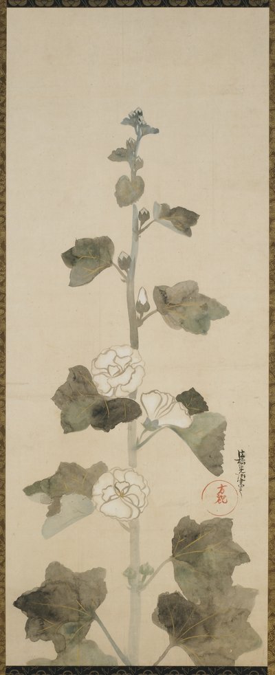 Beyaz gülhatmi, Edo dönemi, 1615-1868 (kağıt üzerinde mürekkep, renk tonu ve altın) by Japanese School