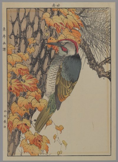 Ağaçkakan, 1892 (renkli tahta baskı) by Japanese School